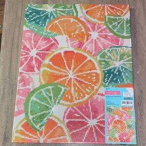 🆕💜 The Spring Shop Citrus Diamond Painting Kit – Citrus Fruit Canvas